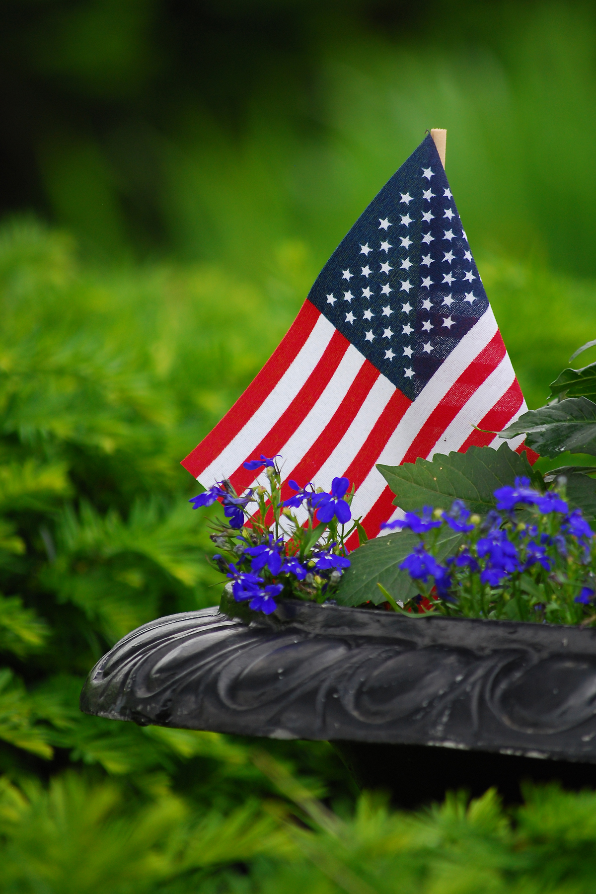 Michelle Cox Garden Flag.jpg