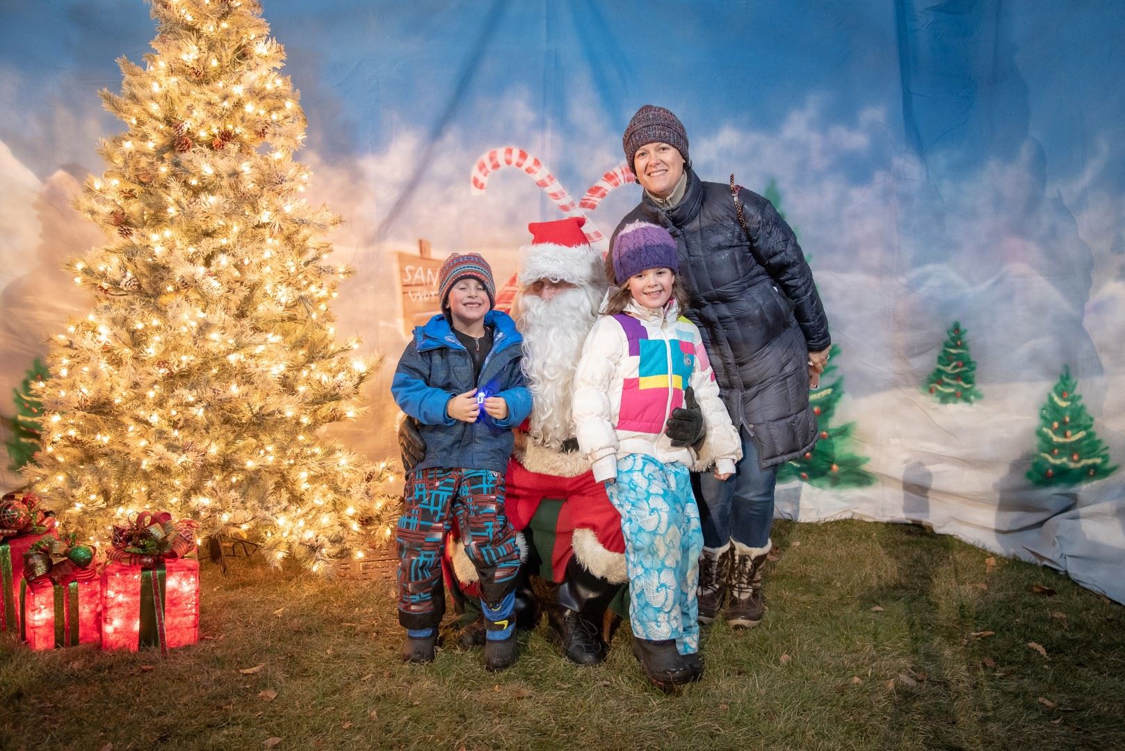 BL-203511-6026 (Large)