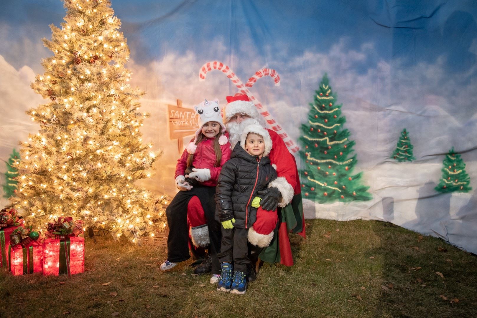 BL-203403-6021 (Large)