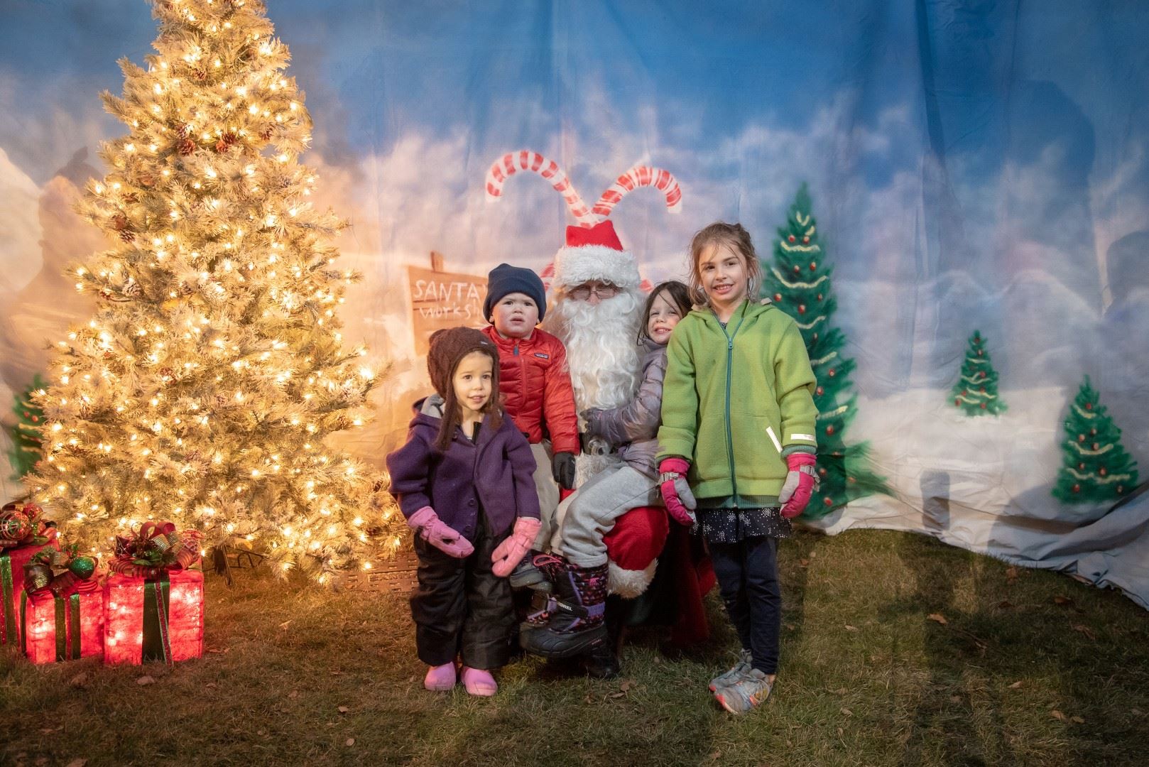 BL-202517-5993 (Large)