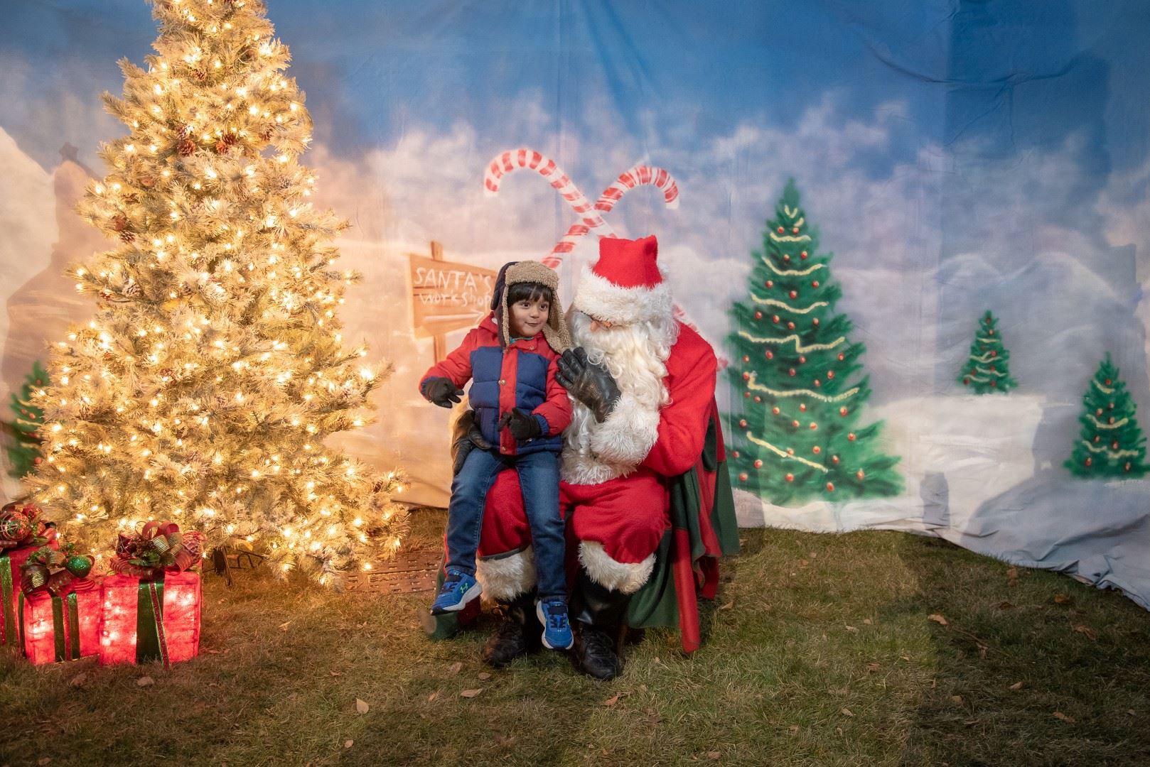 BL-202258-5985 (Large)